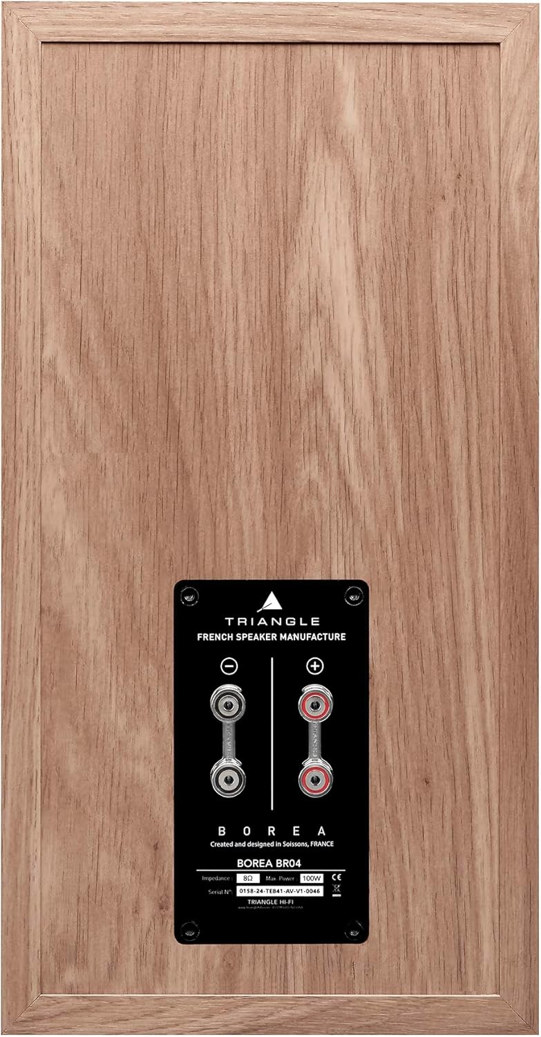 TRIANGLE BOREA BR04 BLU â€“ DIFFUSORI DA PAVIMENTO A 2,5 VIE