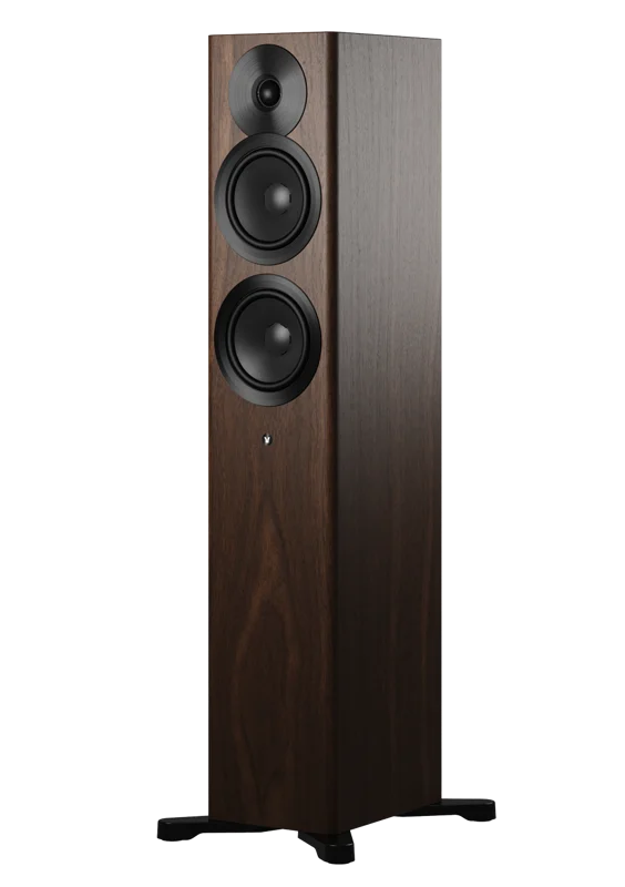 Focus 30 Walnut