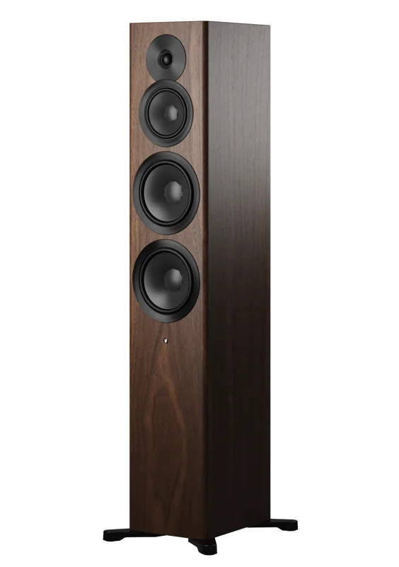 Focus 50 Walnut